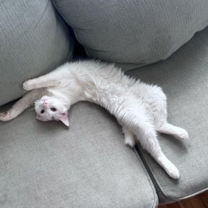 Meet your Posher, Karla